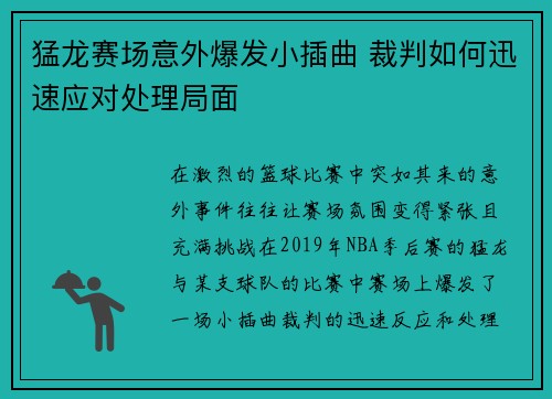 猛龙赛场意外爆发小插曲 裁判如何迅速应对处理局面
